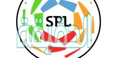 كم فريق يهبط في الدوري السعودي