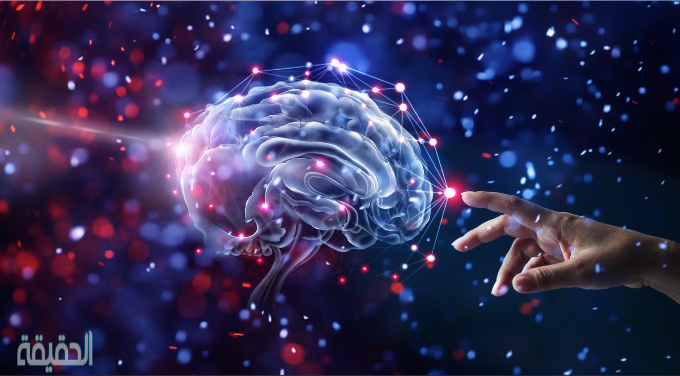 حل Brain Test