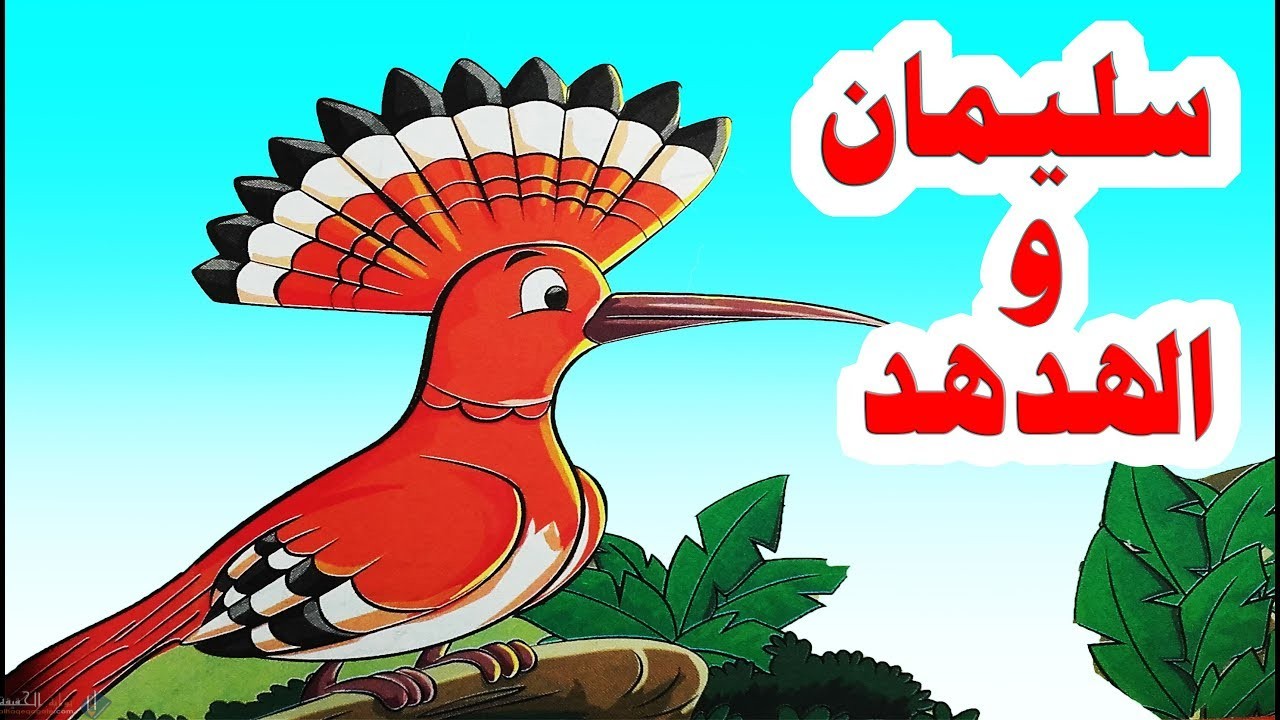 كان غرض سليمان عليه السلام من ارسال الهدد بالكتاب الى ملكة سبأ امرين اذكرهما
