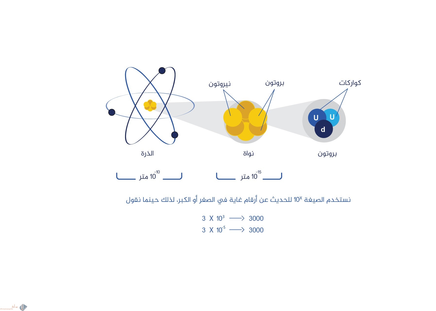 جسيم متعادل الشحنة في النواة تسمى