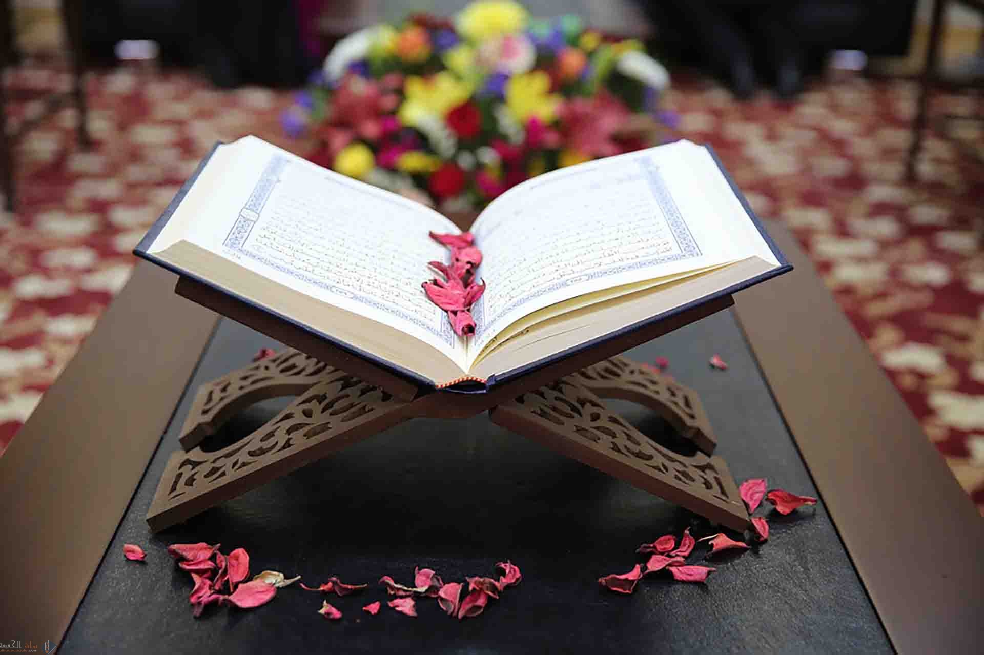 اقبح اعمال الكفار التي يستحقون بها العذاب يوم القيامة