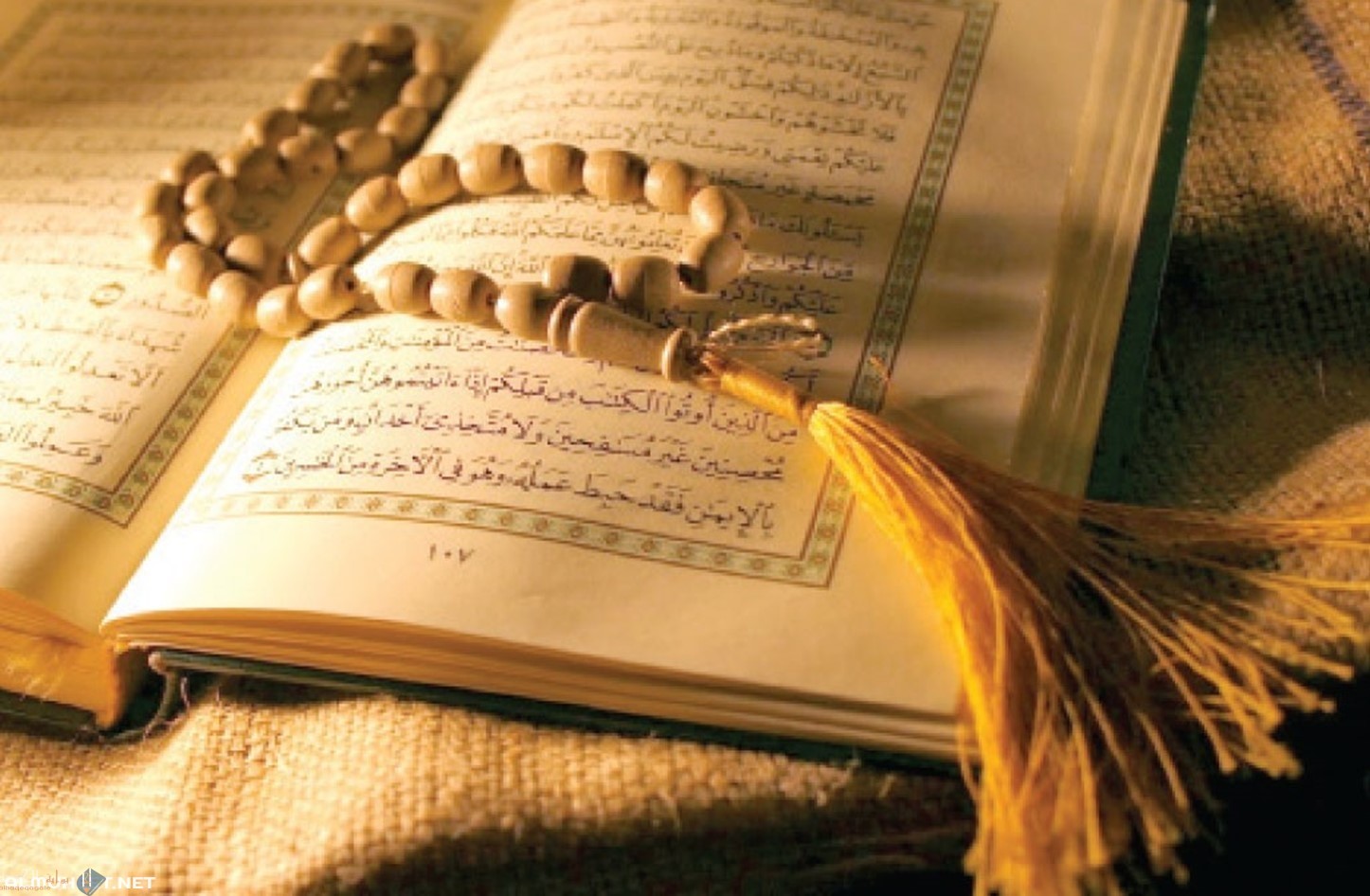 من هم الأنبياء الذين ذكرت قصصهم في سورة المؤمنون