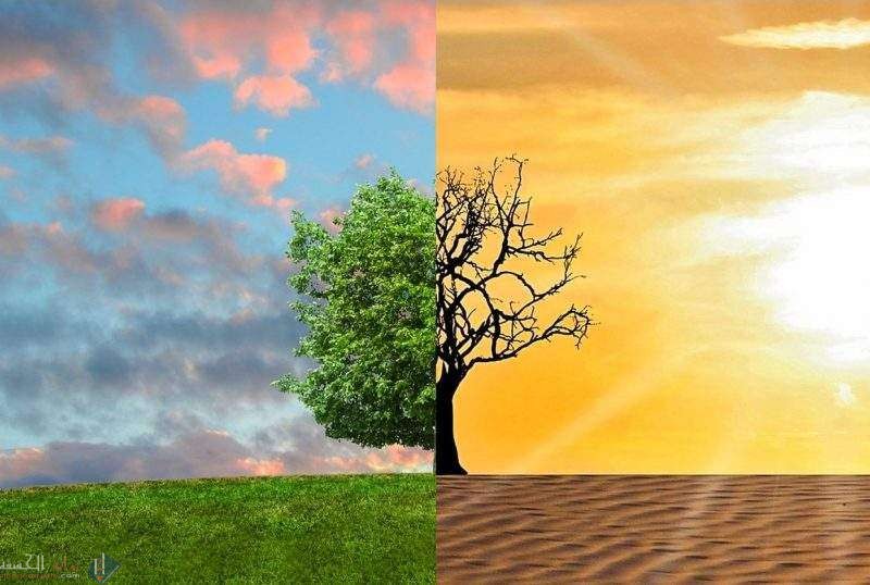 المناخ، والزمن من العوامل المؤثرة في تكون التربة