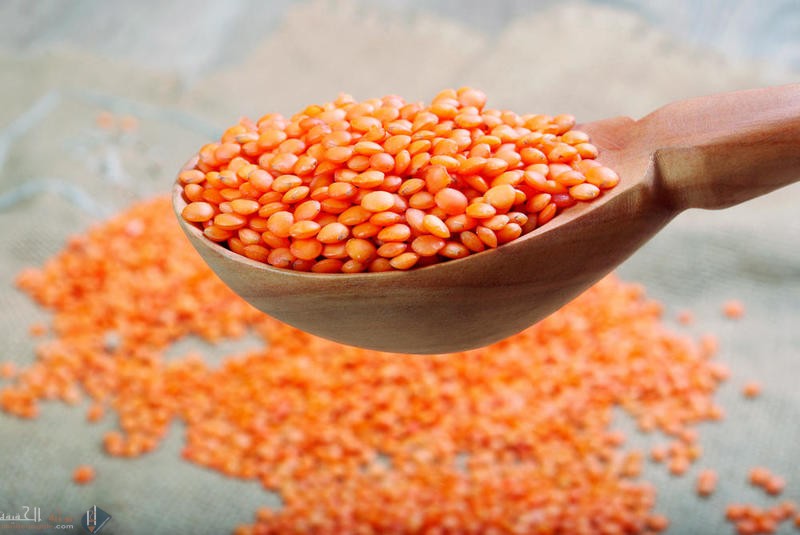 ما الاية الكريمة التي ذكر فيها العدس