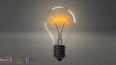 ما الخاصيتان اللتان يجب ان تكونا لشحنه الاختبار