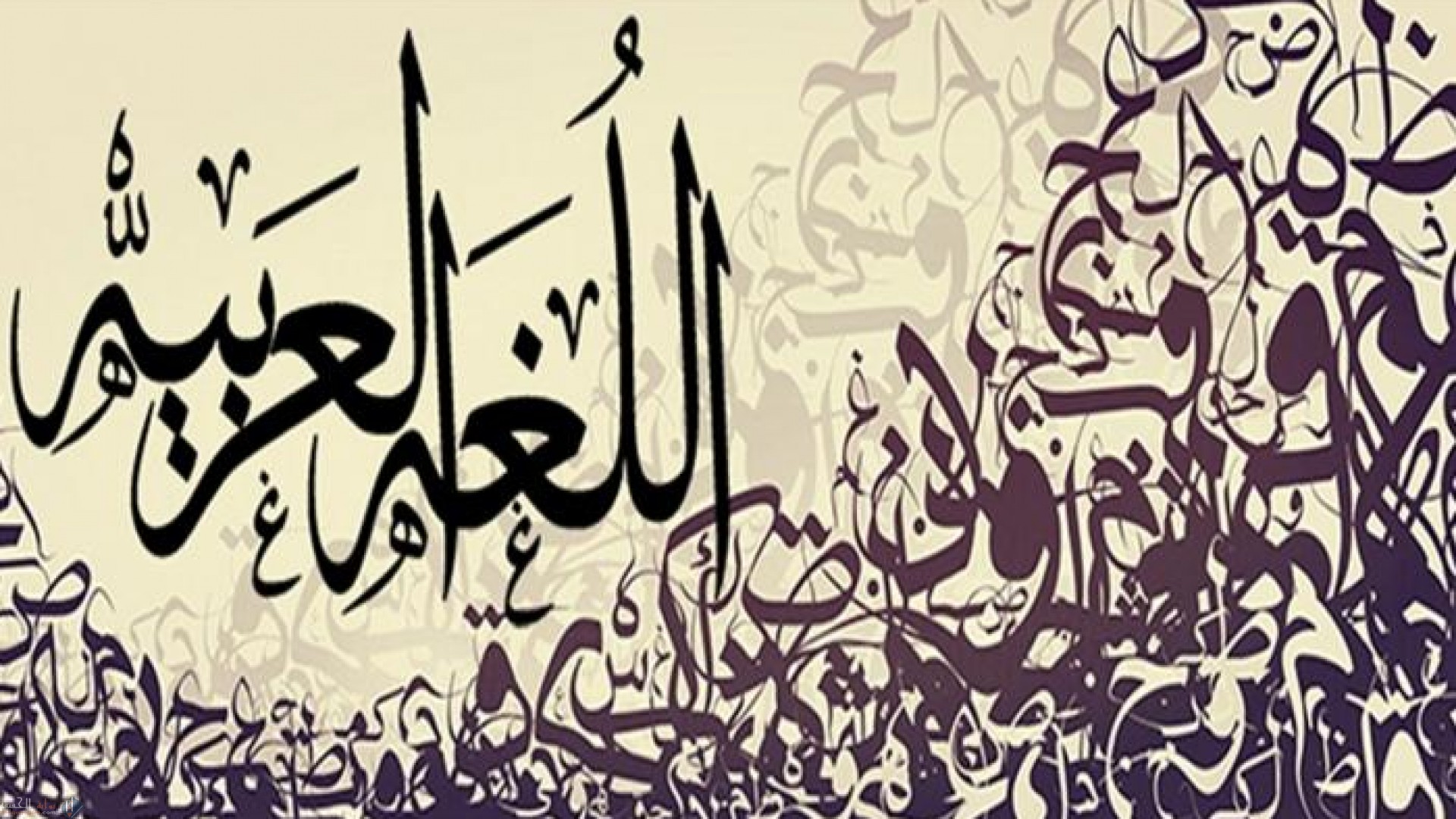 ما هو الفعل المعتل الاجوف