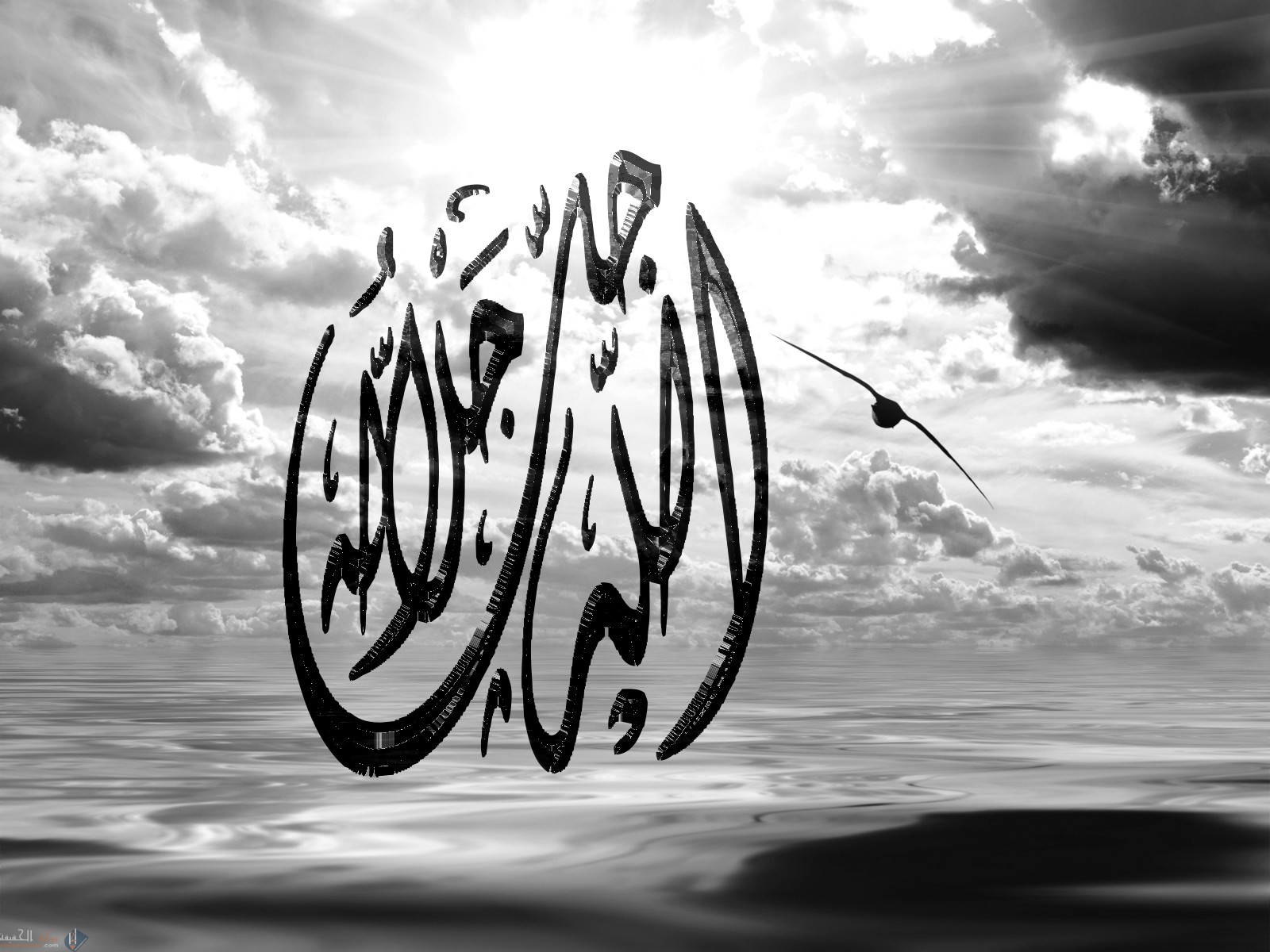 في الجدول الاتي فوائد دل عليها الحديث حدد الموضع الذي استنبطت منه كل فائدة