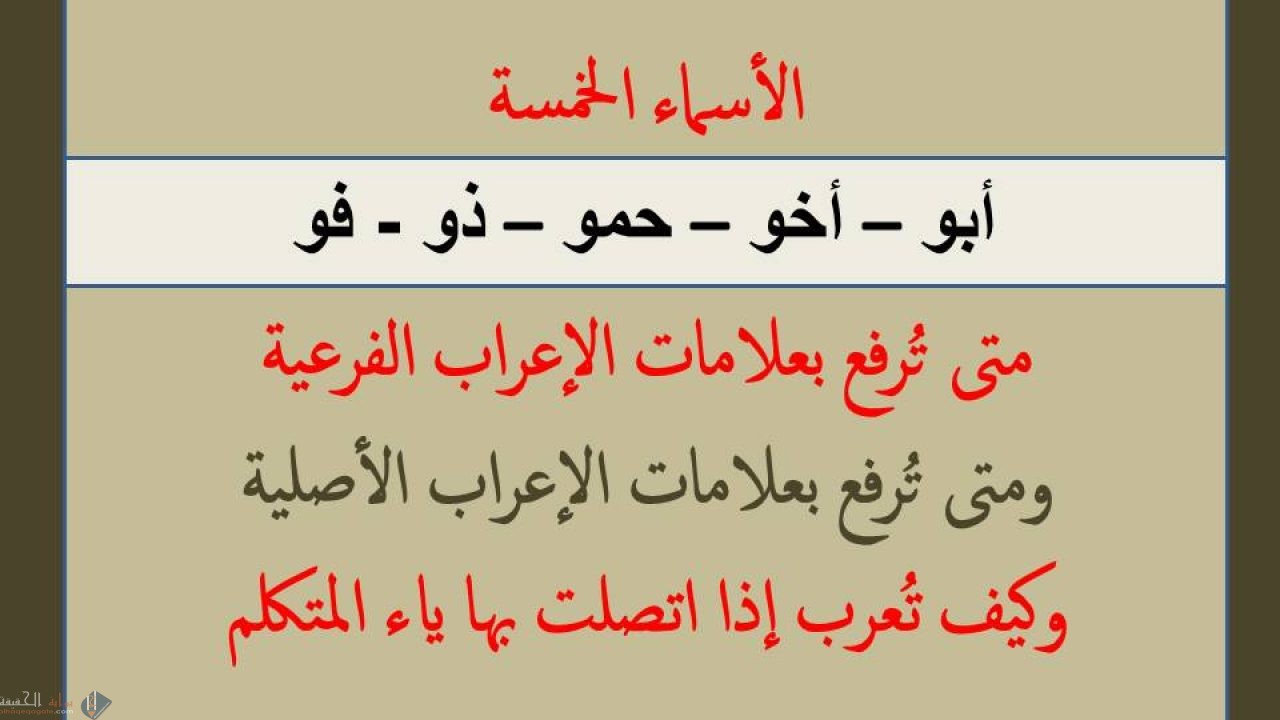 تفاهم مع حميك بلطف استخرج اسم من الاسماء الخمسة في الجملة