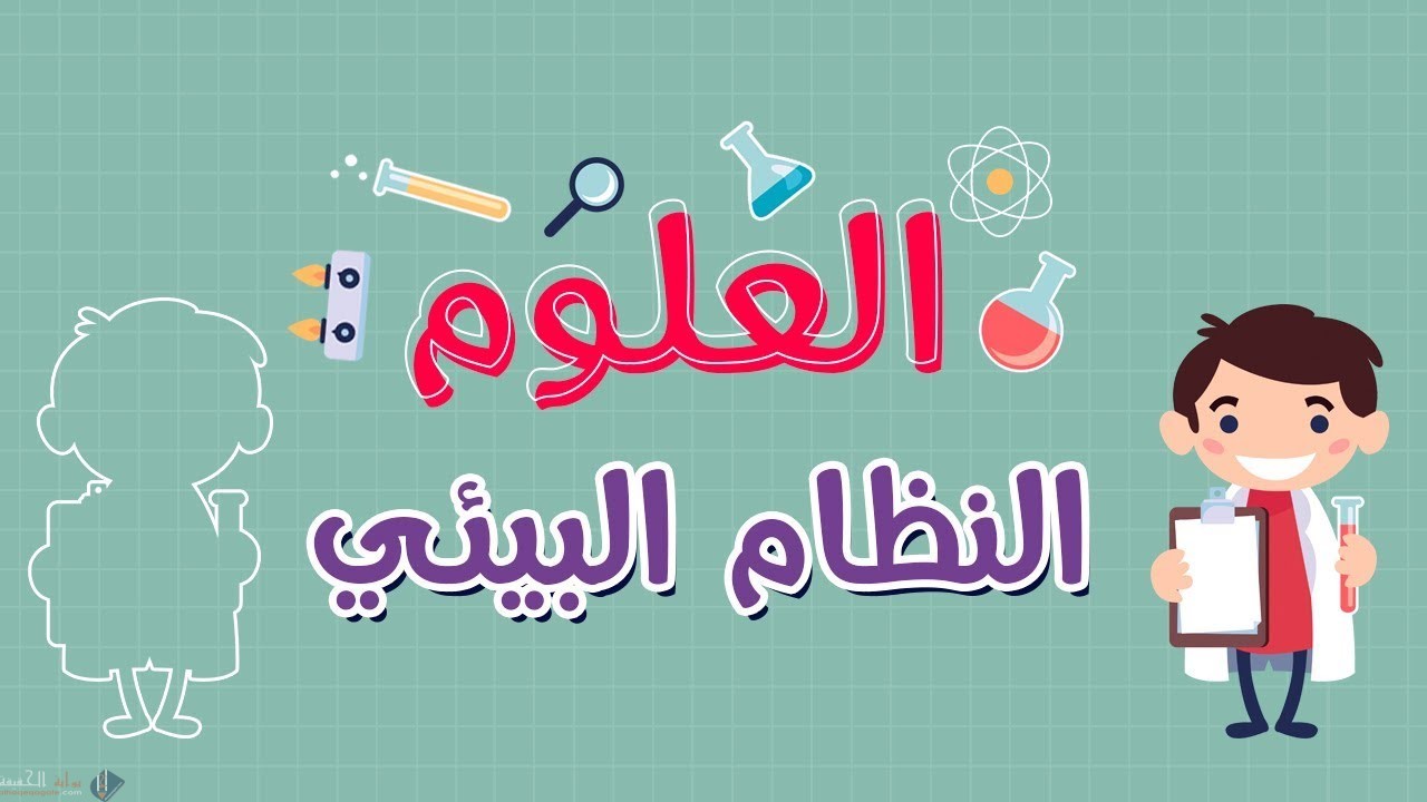 صف كيف يمكن أن يختلف النظام البيئي لغابة ما بغياب المحللات والحيوانات القارتة