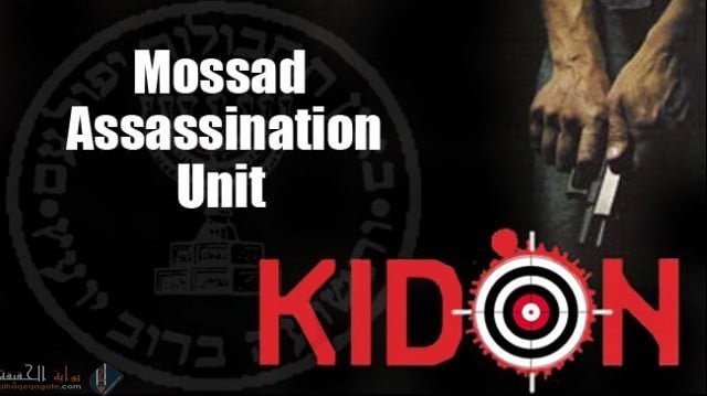 من هو فهمي هيناوي السيرة الذاتية