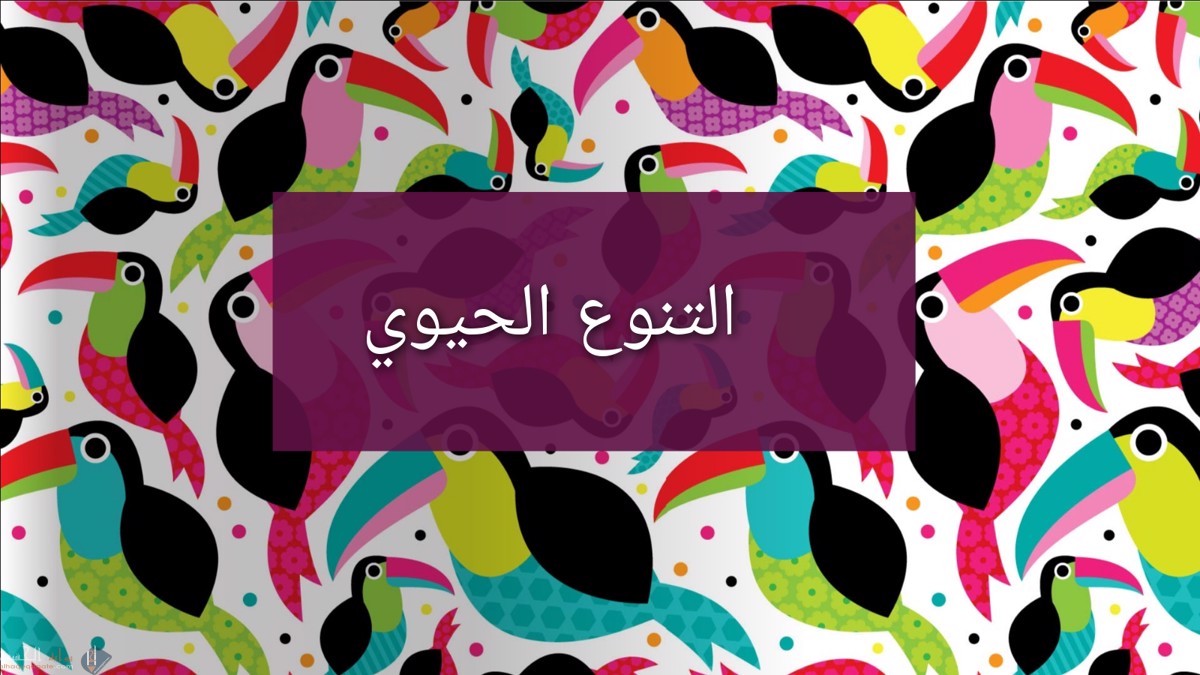التنوع الحيوي له قيمة اقتصادية مباشرة وغير مباشرة