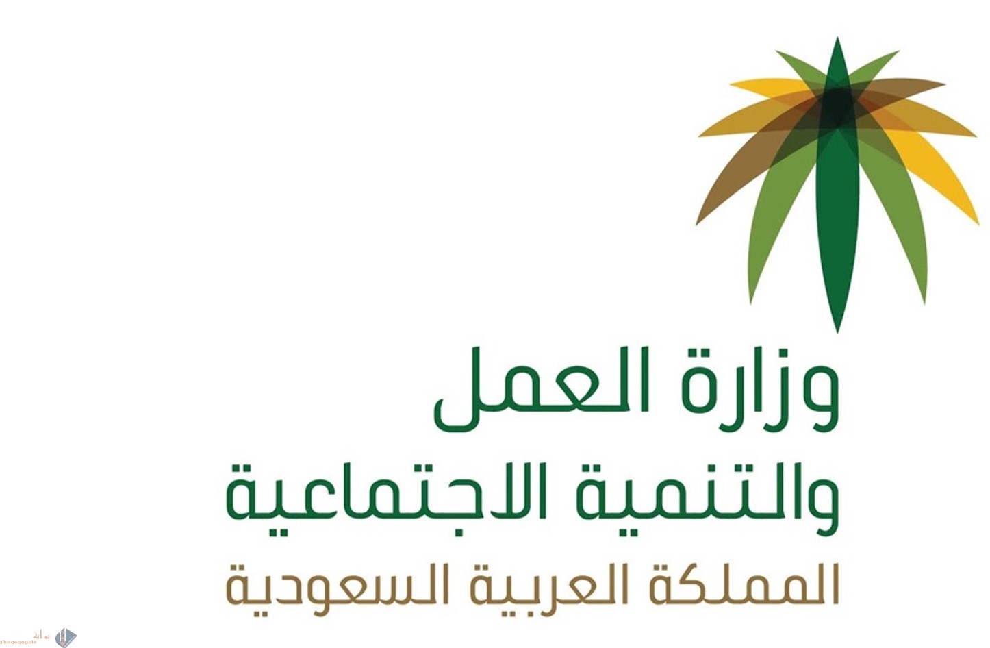 كيفية معرفة نطاق الكفيل برقم الهوية أو الإقامة معرفة نطاق المؤسسة