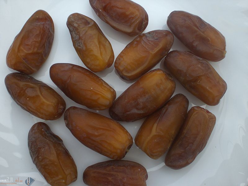 اجمعي بعض المعلومات عن النخلة وثمرتها وصيغيها تحت عنوان هل تعلمين لالقائها على زميلاتك في الفصل