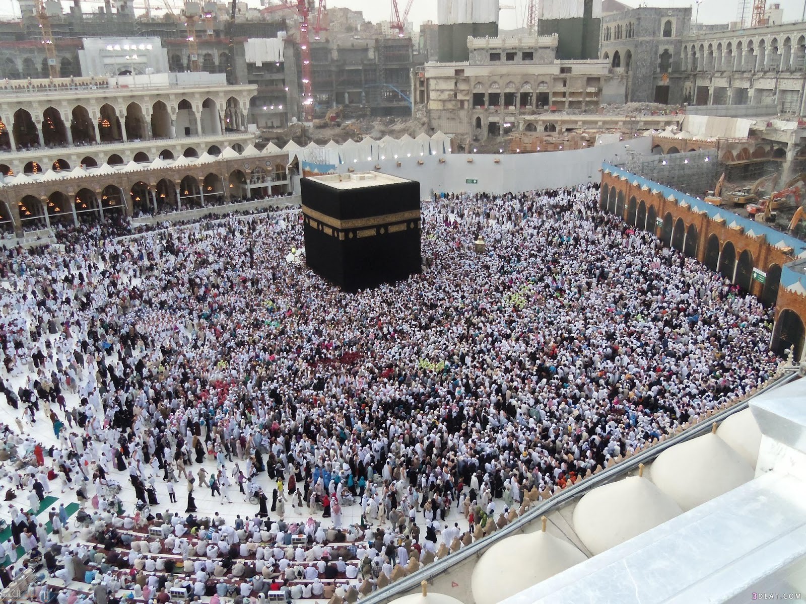 الصحابي الذي نام في فراش