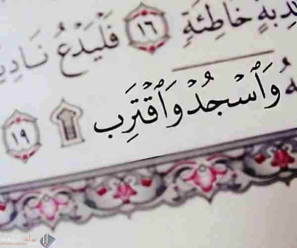 يشرع سجود التلاوة