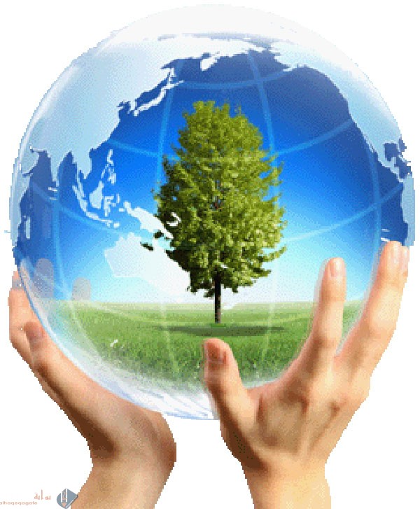 موضوع تعبير عن الوطن للسنة الرابعة ابتدائي