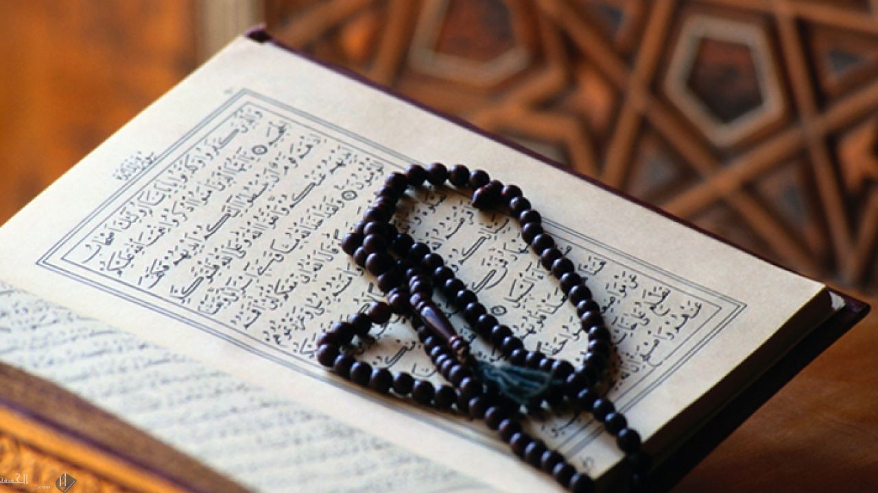 العبرة بعموم اللفظ لا بخصوص السبب صح أم خطأ