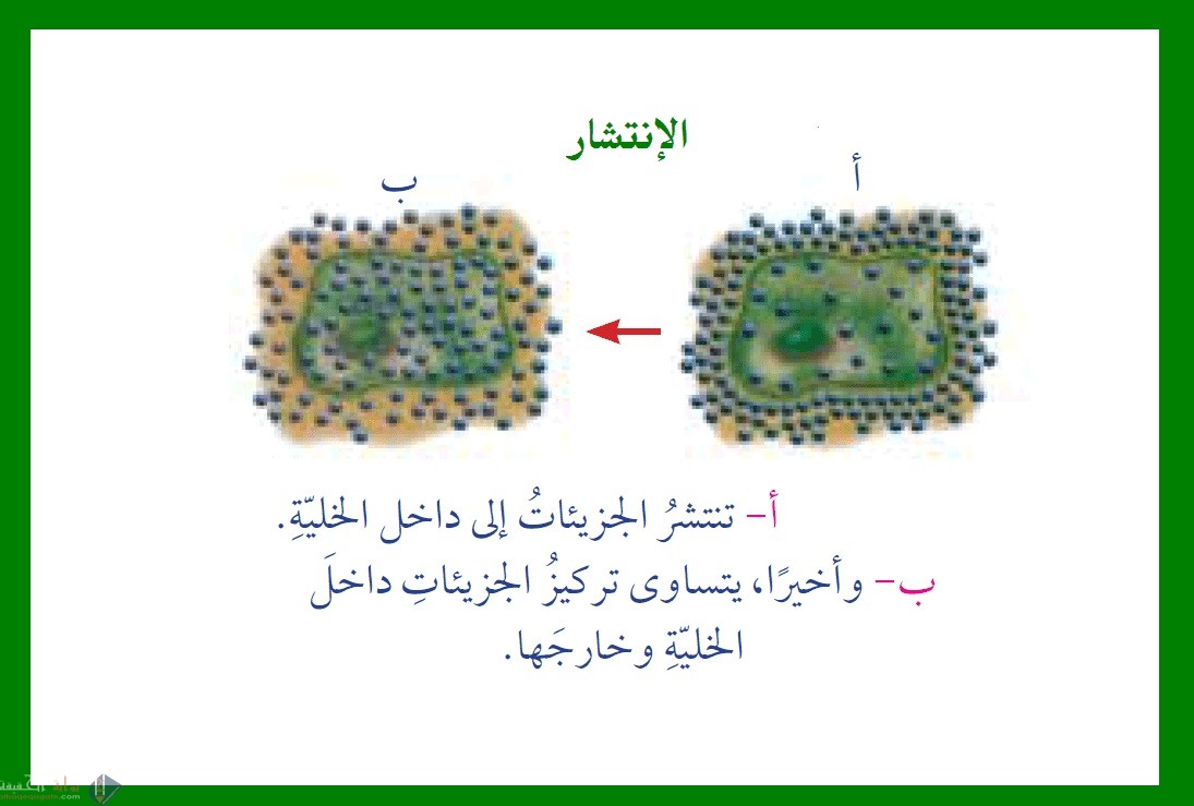 تستهلك الطاقة خلال عملية الانتشار المدعوم