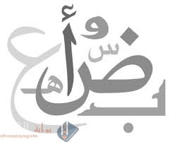 اتقمص شخصية كاتب الرسالة السابقة ثم اكمل الناقص منها وادونه في الفراغ التالي