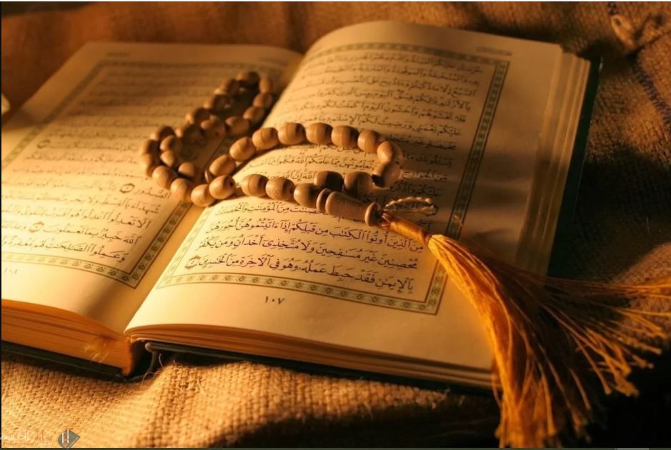 آيات تحث على التأمل