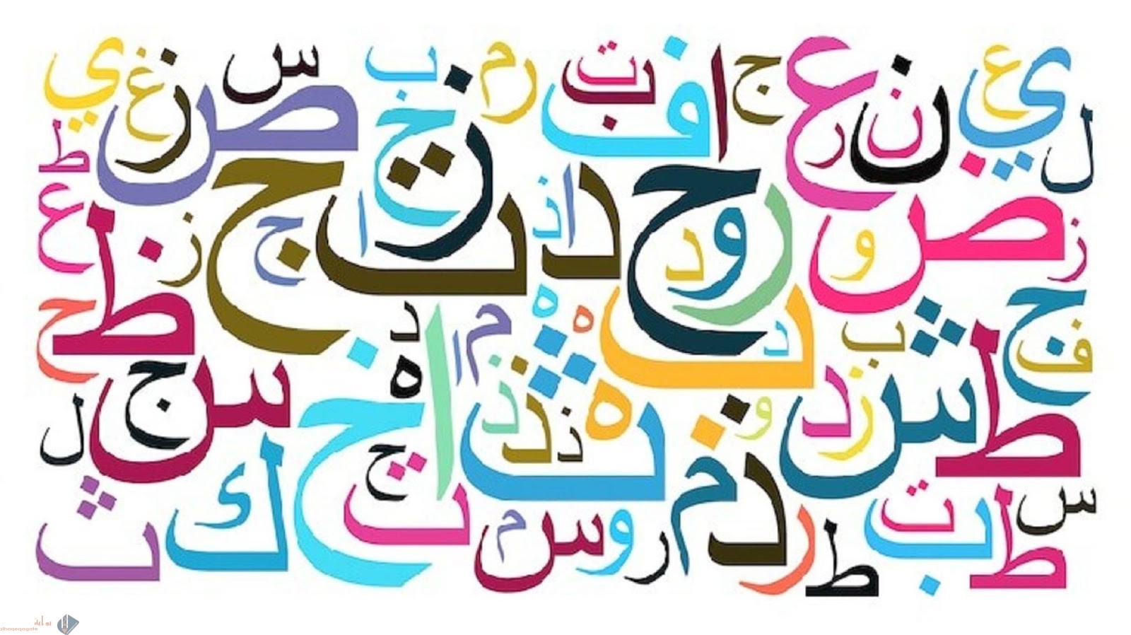 أحدد تعبيرا من النص أعجبني واشير إلى جوانب إعجابي به