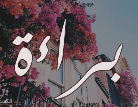ما معنى اسم براء وما حكم تسميته