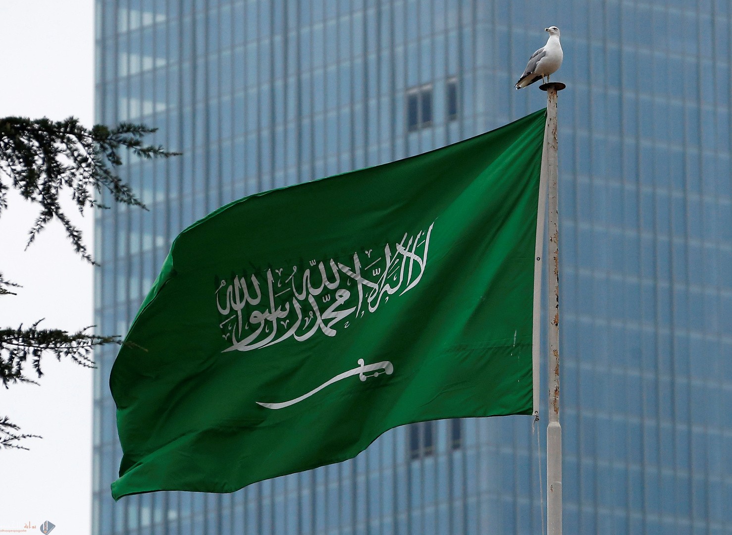 الوتيد وش يرجعون له