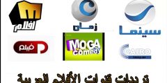 استقبل تردد قناة البيارق نيوز 2025 biarq news