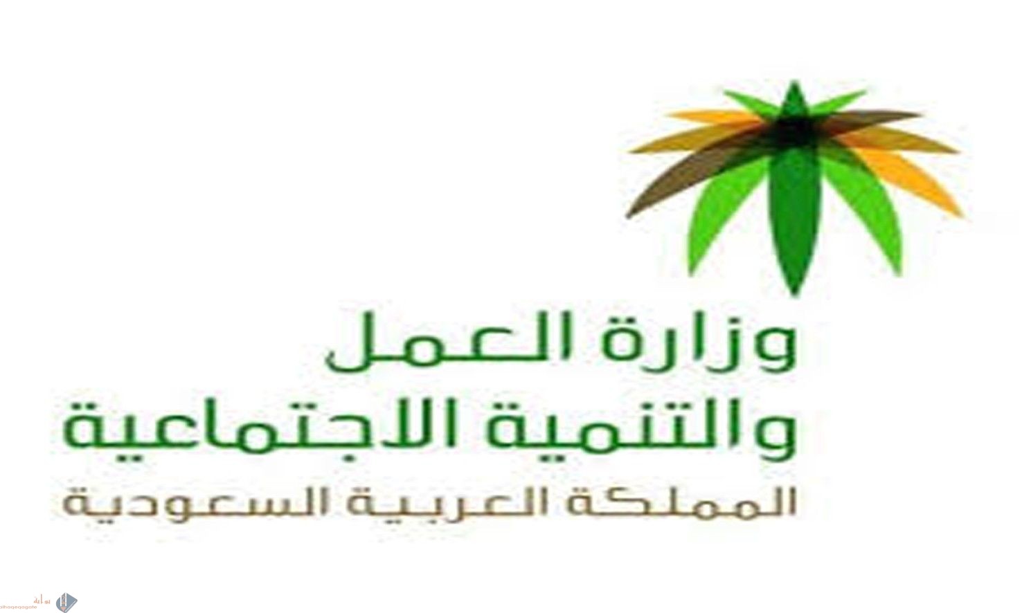 كيفية التسجيل في المقطوعة السنوية شروط التقديم للحصول على مساعدات الضمان الاجتماعي