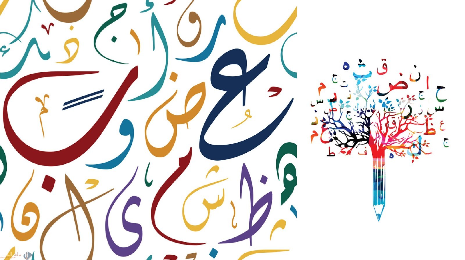 أين تكتب الهمزة المتطرفة إذا كان الحرف قبلها ساكناً؟