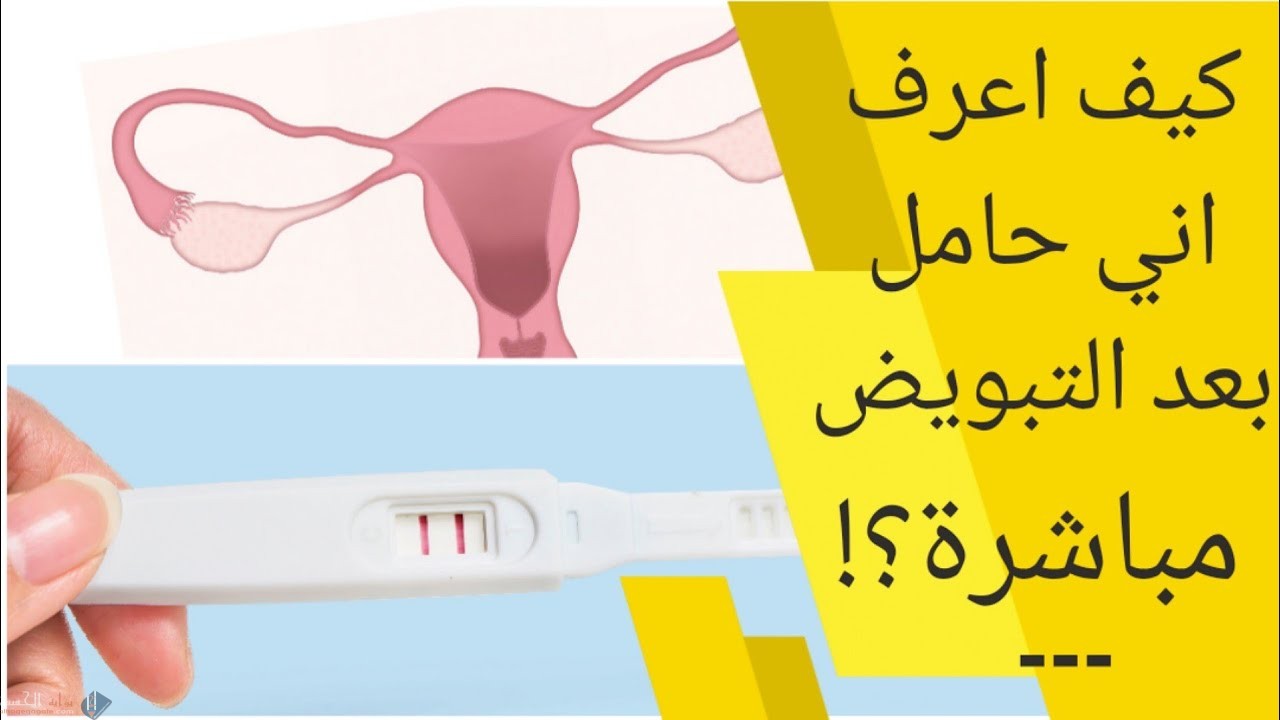 كيف اعرف اني حامل بعد التبويض بيوم