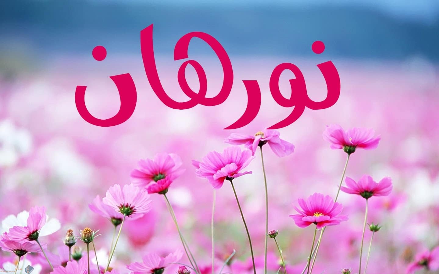 ما معنى اسم نورهان وصفات حاملة هذا الاسم ؟