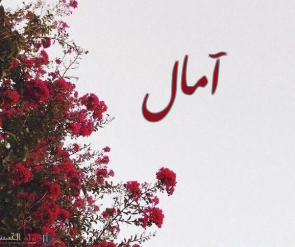 ما معنى اسم امال وصفات حاملة هذا الاسم