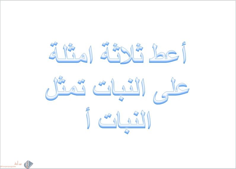أعط ثلاثة امثلة على النبات تمثل النبات أ