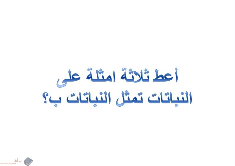 أعط ثلاثة امثلة على النباتات تمثل النباتات ب؟