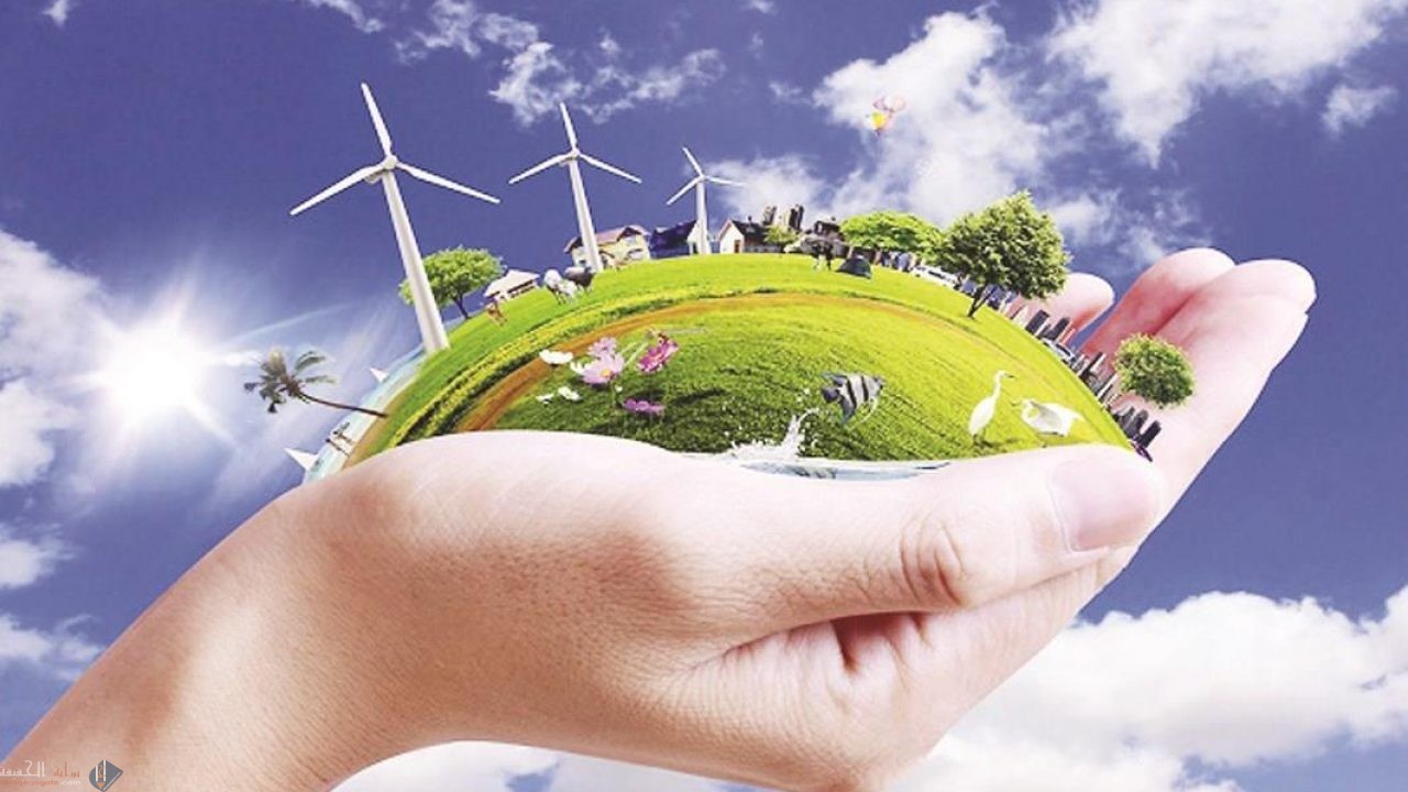 أي الموارد الطبيعية يصنع كل من البلاستيك والطلاء والبنزين؟