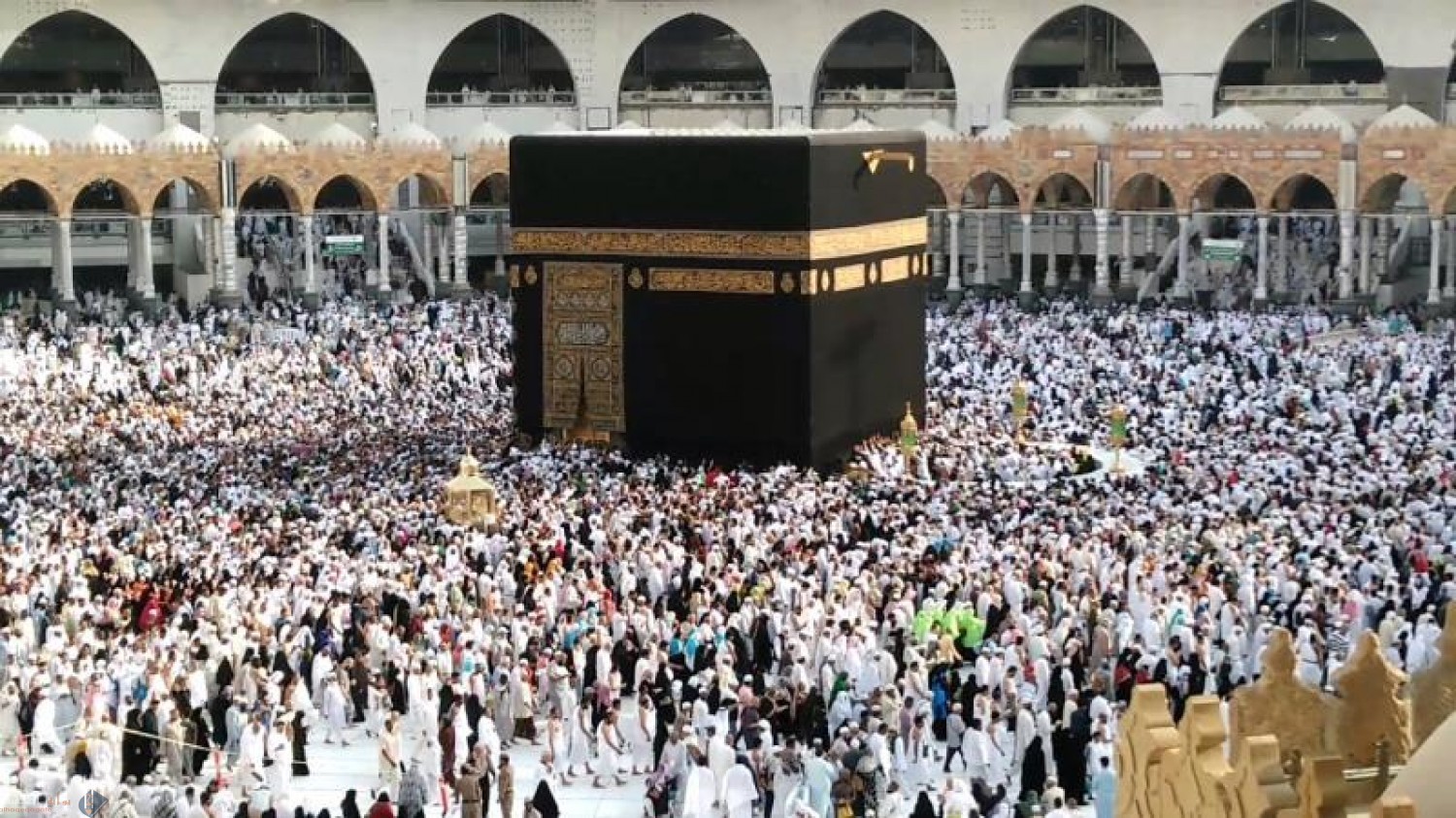 ادون اكثر عدد ممكن من الأسباب التي تؤكد ان السكنى