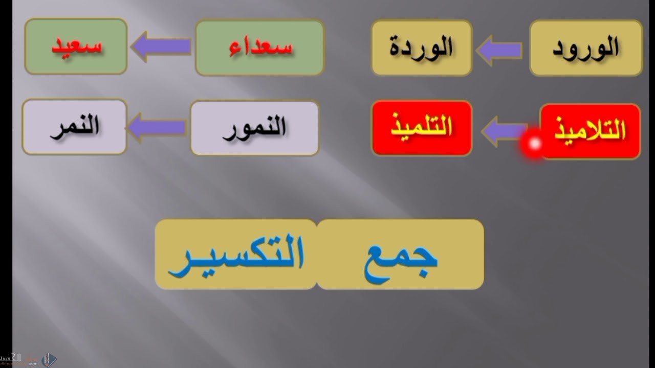 اذكر مثال جمع تكسير