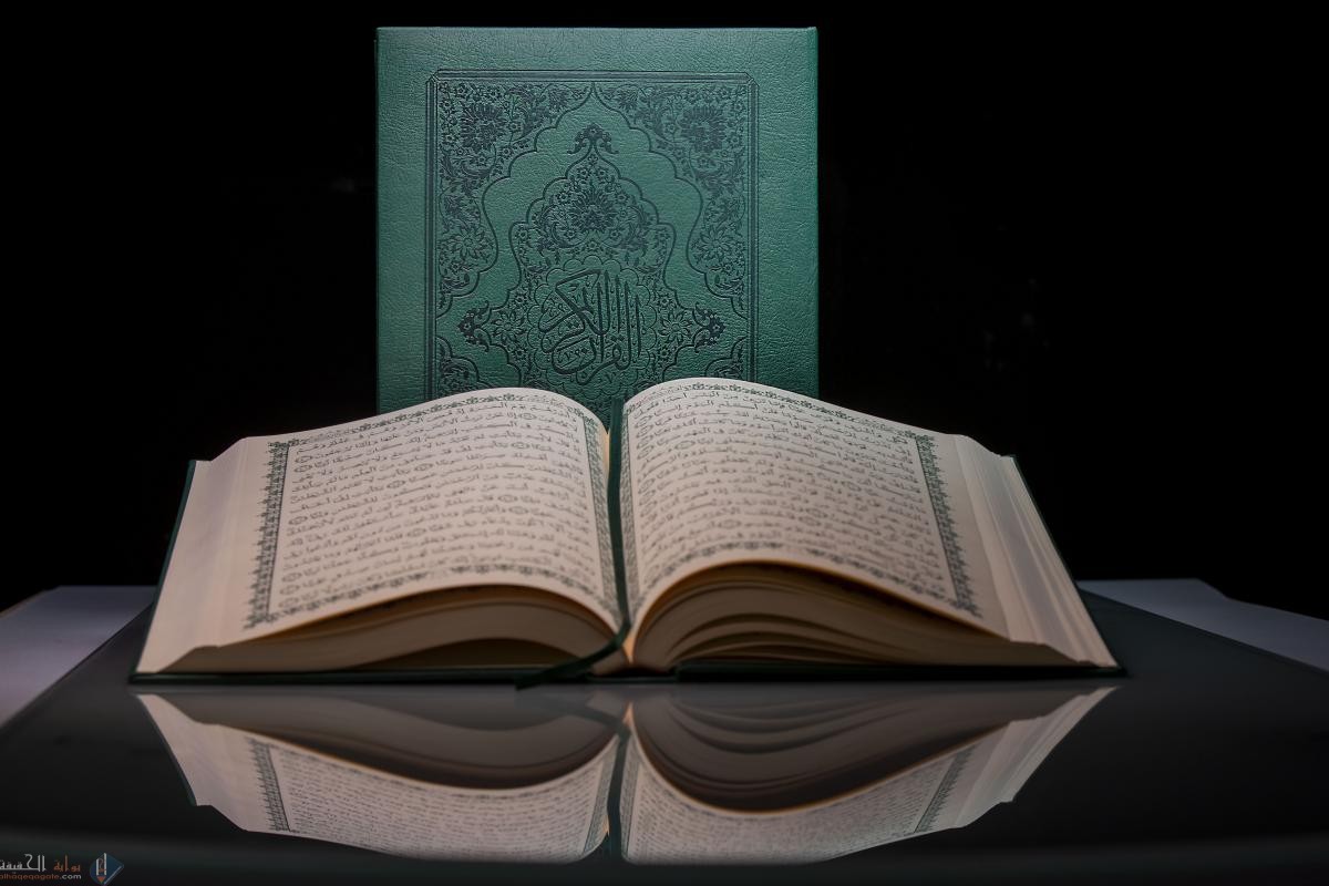 استدل من القرآن الايات على ما يأتي رد الله عزوجل على شبهات الكافرين