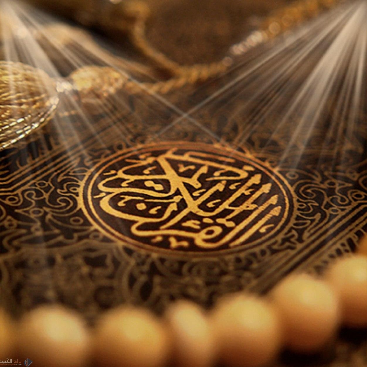 استنتج سلوكياً آخر تستنبطه من الآيات