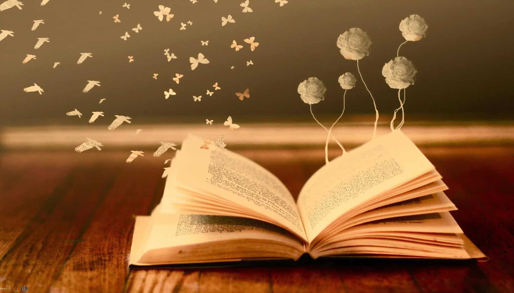 الجسم الأكثر استقرار بين مجموعة من الكتل المتساوية
