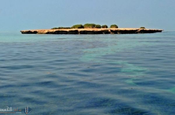 اين تقع جزيره جنا في أي بلد