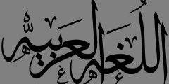 موضوع تعبير عن اللغة العربية بالعناصر والافكار
