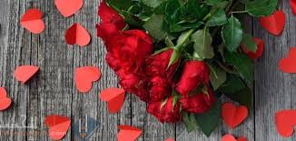 رسائل حب وغرام تهنئة عيد الحب