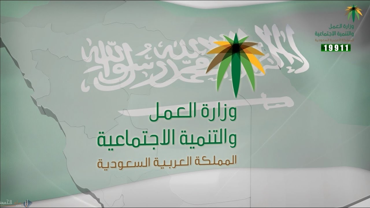 كيف اعرف حالتي في المساعده المقطوعه بالخطوات