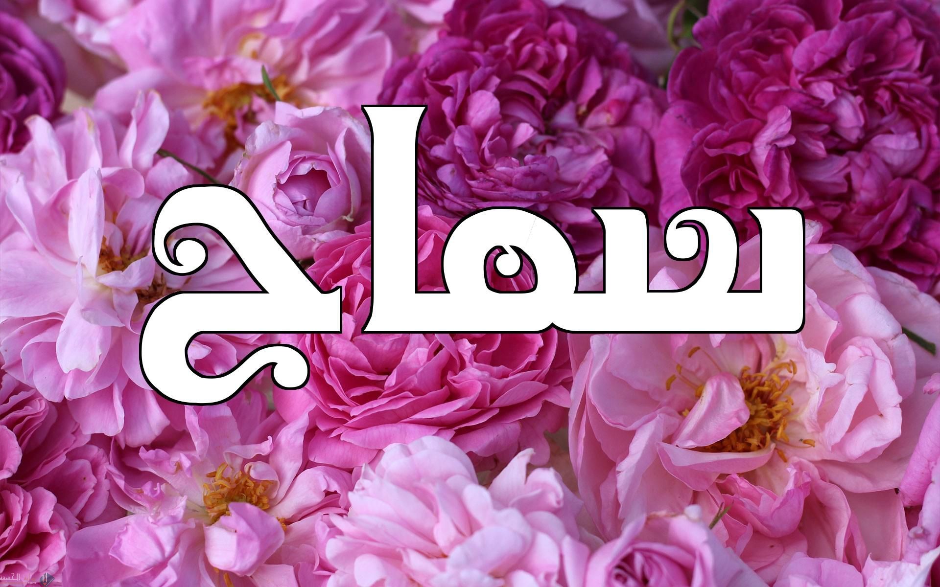 معنى اسم سماح Samah وشخصيتها