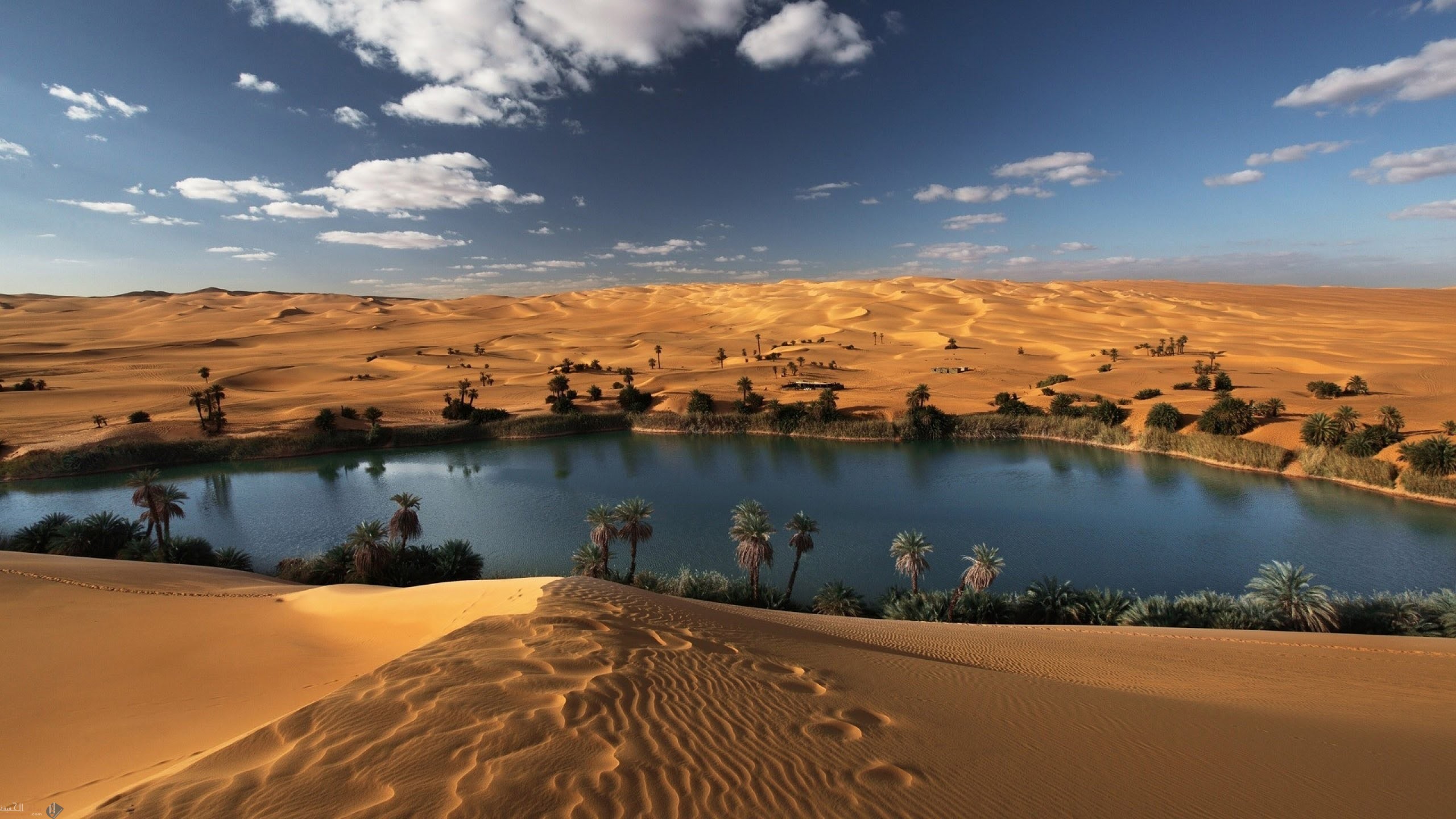 كثرة الحروب والخلافات داخل شبة الجزيرة العربية قبل الإسلام