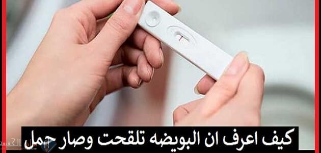 كيف اعرف ان البويضة تلقحت