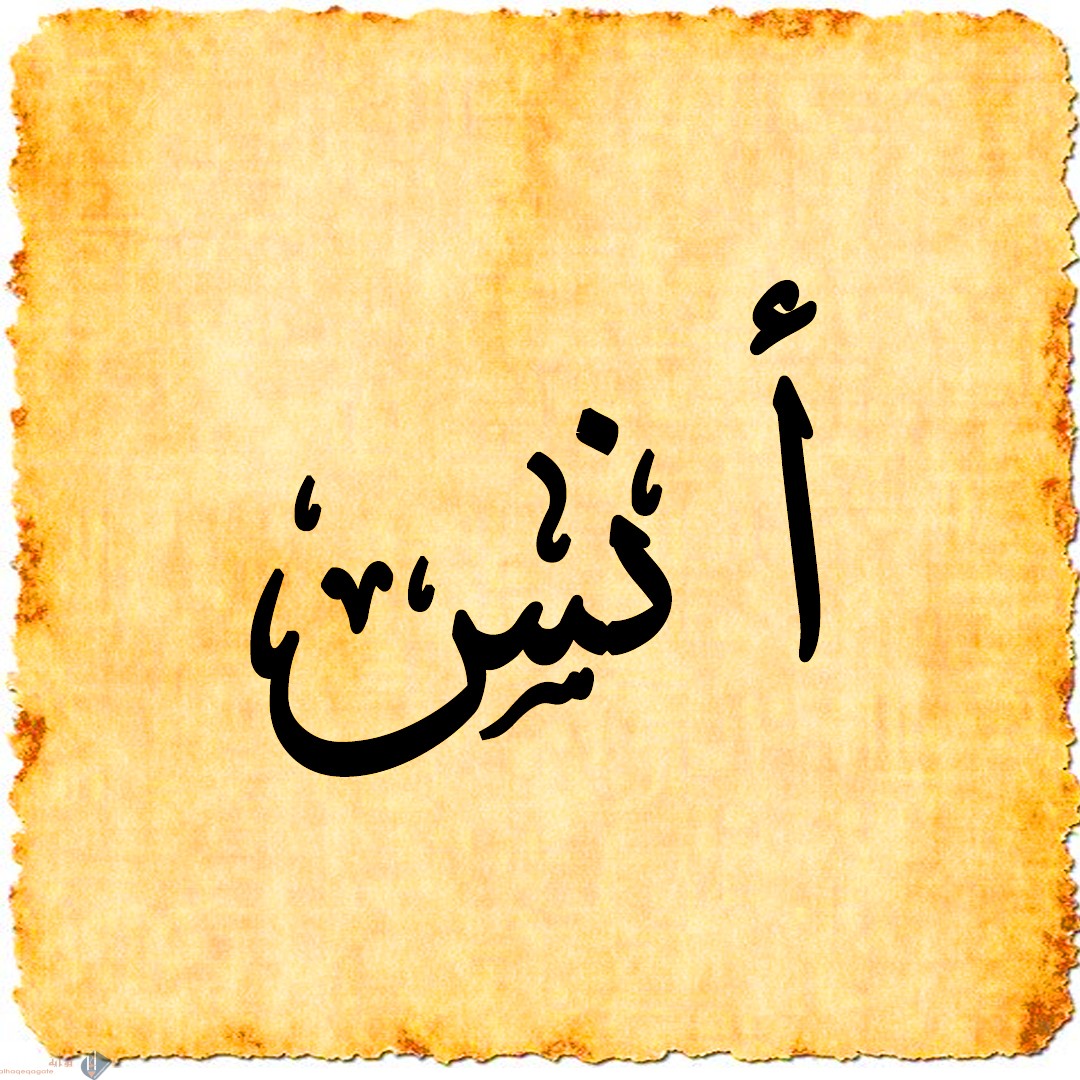 معنى اسم انس