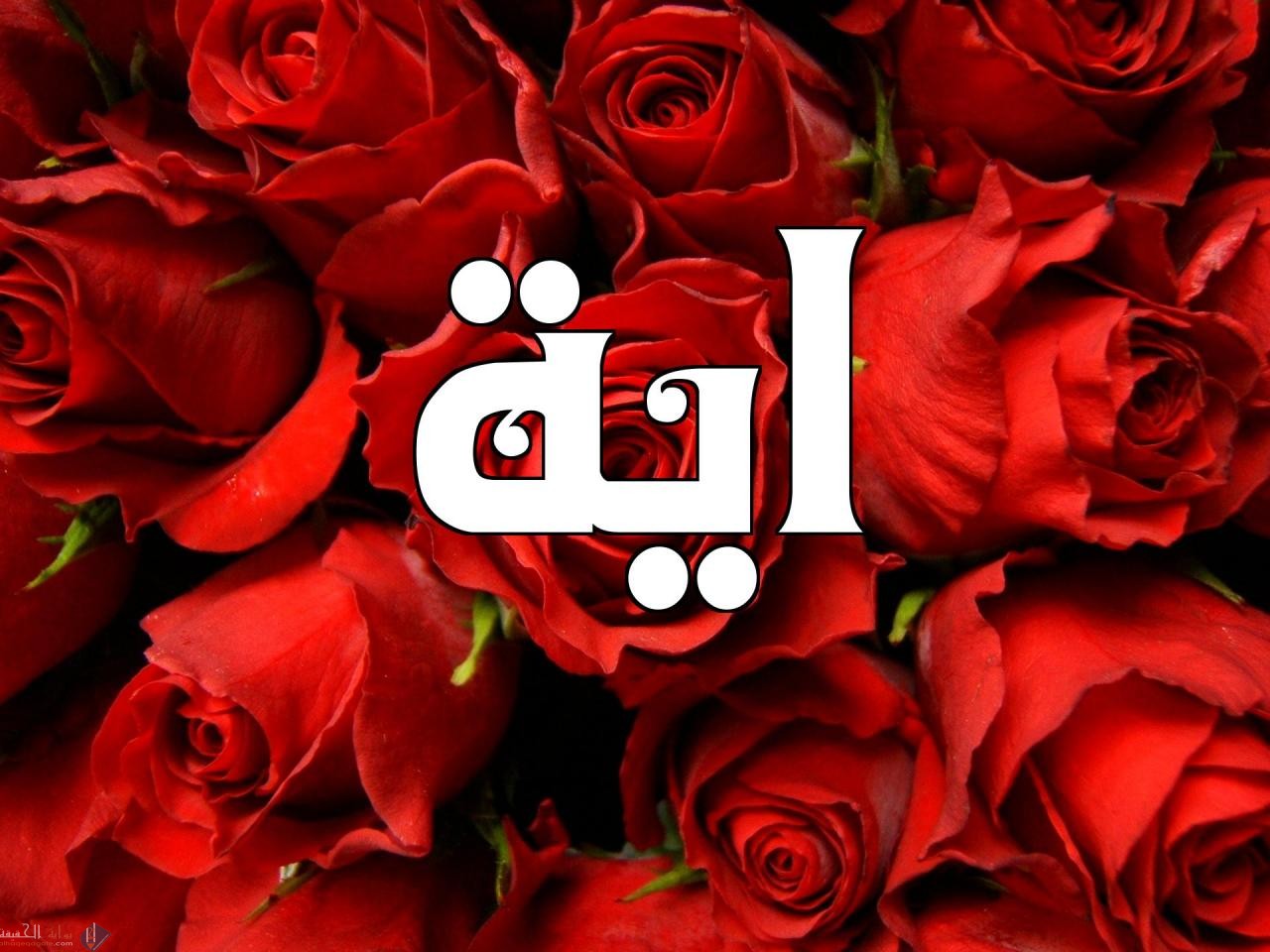 معنى اسم اية